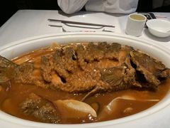 -阿五黄河大鲤鱼(纬三路店)