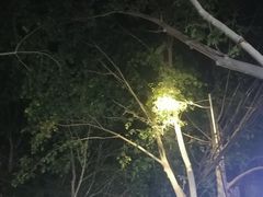-健康路夜市