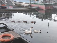 -什刹海