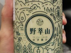 -野萃山·潮汕厚果汁(十亩地店)