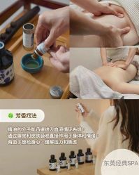 -东英经典SKIN&SPA