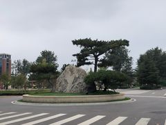 -山东鲁能乒乓球学校