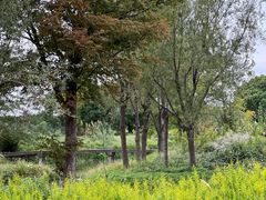 -嘉北郊野公园