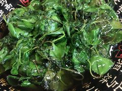 时令野菜-梦缘水乡·湖景餐厅