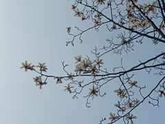 -宜家家居(高新商场店)