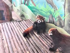 -济南野生动物世界