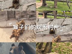 -哈尔滨北方森林动物园