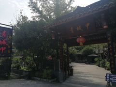 -青城甲(青城山店)