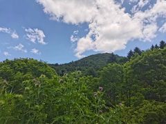 -秦岭风景区