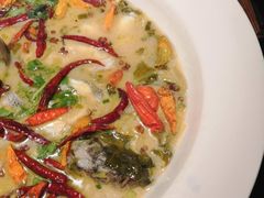 -渔见·精品川菜·老坛酸菜鱼(大朗店)