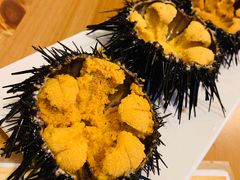 -海胆小馆(东北水饺·春柳店)