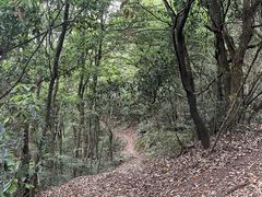 -西湖风景区十里琅珰-五云山