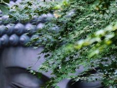 -杭州植物园