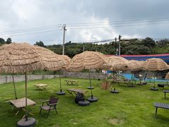 -桃源山庄·水蜜桃采摘·柴火鸡·烧烤团建(龙泉山店)
