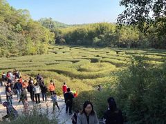 -大屏嶂森林公园