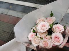 -溪岸路花鸟市场