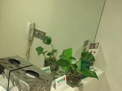 -上海浦东假日酒店