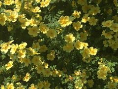 -秀水公园