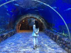 -华夏文旅海洋公园