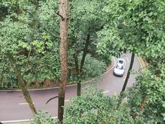 -缙云山景区