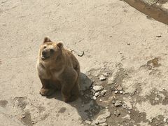 -哈尔滨北方森林动物园