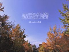 -都江堰景区