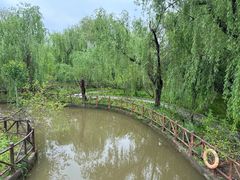 -南汇桃花村