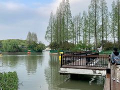 -黄兴公园