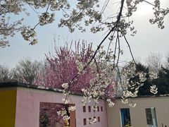 -郑州植物园