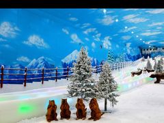 -世界之窗阿尔卑斯冰雪世界