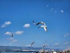 -海埂大坝