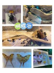 -欢乐舟·舟舟玩乐园