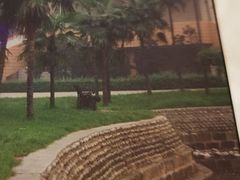 -西南交通大学(九里校区)