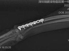 -瑞鹏宠物医院·骨科·猫科·内科(第一中心)