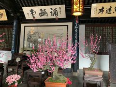 -无锡梅园公园