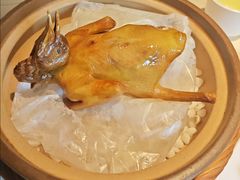 -大鸽饭(动物园店)