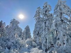 -瓦屋山景区