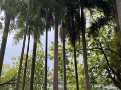 -南宁南湖公园