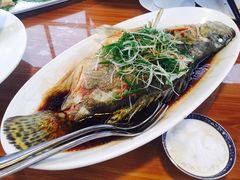 -梧桐餐厅(泉城路店)