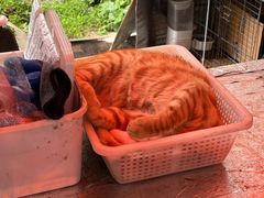 -颓记茶餐厅(美景总店)