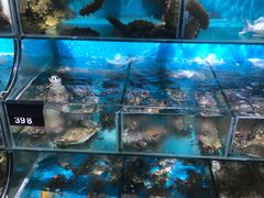 -蟹谢蒸鲜自助餐厅