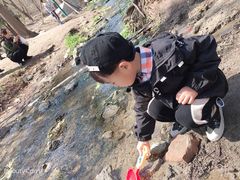 -白水寺森林公园