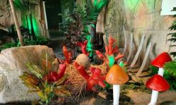 -恐龙探索乐园(磁器口店)