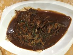 酱焖大菱鲆鱼-净雅大酒店(锦绣店)