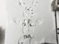 -吉野家(红博中央公园店)