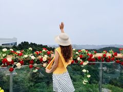 -王莽岭风景区