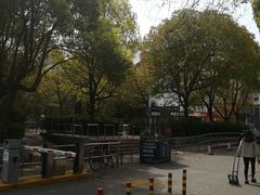 -卜蜂莲花(杨高南路店)