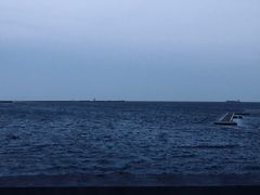 -碧海金沙