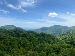 -青城山