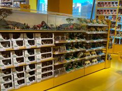 -KKV(深圳宏发大仟里店)